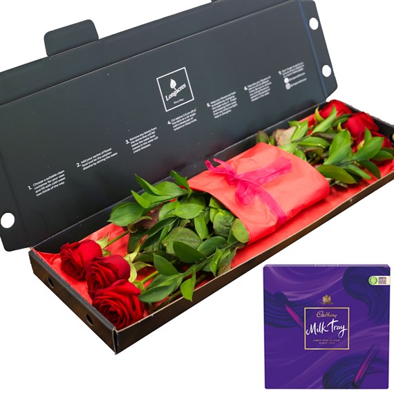 Valentine's Day Bundle Offer - 6 Long Stem Red Rose Letter Box with Dairy Milk Tray Box