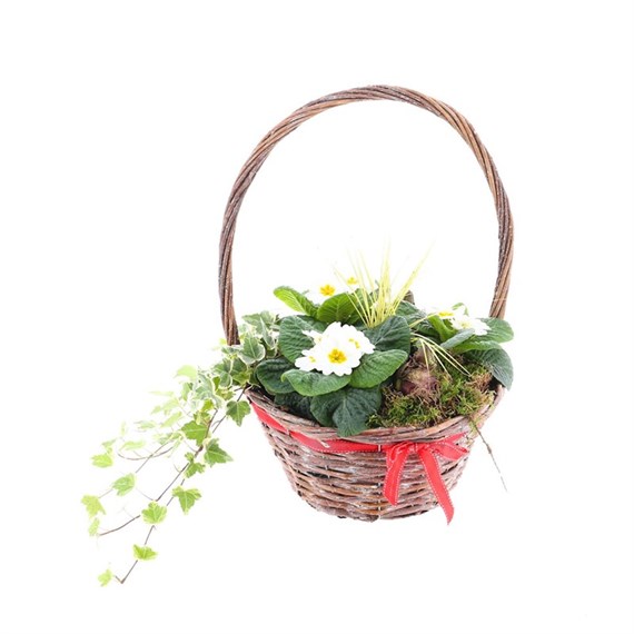 Christmas Bedding Outdoor Potted Arrangement Wicker With Red Bow 