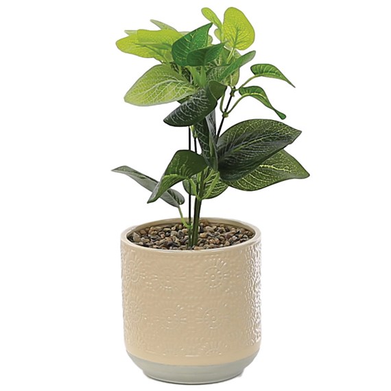 Woodlodge 12cm Artificial Potted Houseplant Plant In Cream Pot (FAUX003)