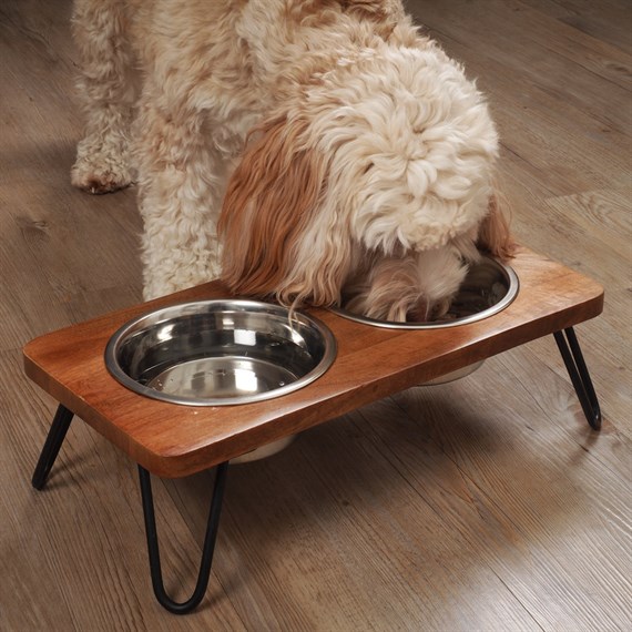 Zoon Double Diner Raised Dog Bowl (8005065)