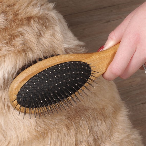 Zoon Double Sided Brush Dog Grooming Accessory (8065003)