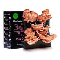 Urban Farm Pink Oyster Mushroom Growing Kit (BK-P-GIFT)