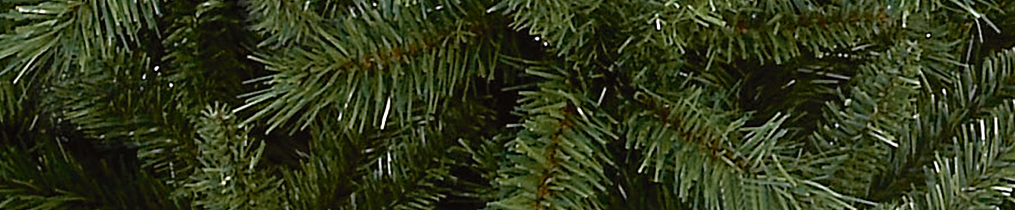 Slim Christmas Trees